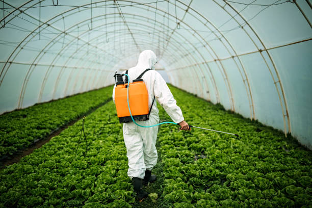 Best Affordable Pest Control Services  in Fort Sumner, NM