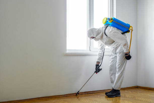 Best Pest Prevention Services  in Fort Sumner, NM