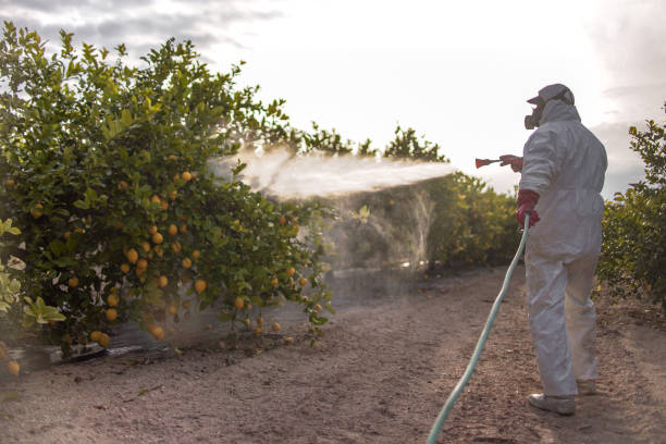  Fort Sumner, NM Pest Control Pros