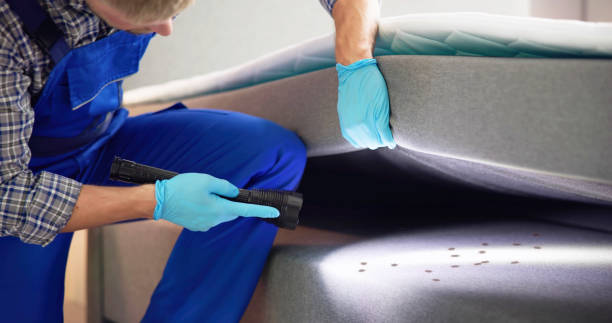 Best Pest Removal Services  in Fort Sumner, NM