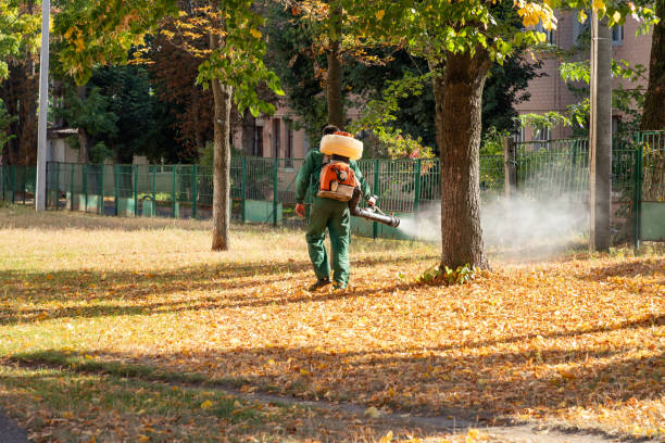 Wasp Removal Services in Fort Sumner, NM