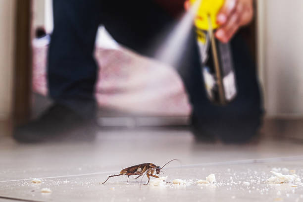 Fort Sumner, NM Pest Control Company